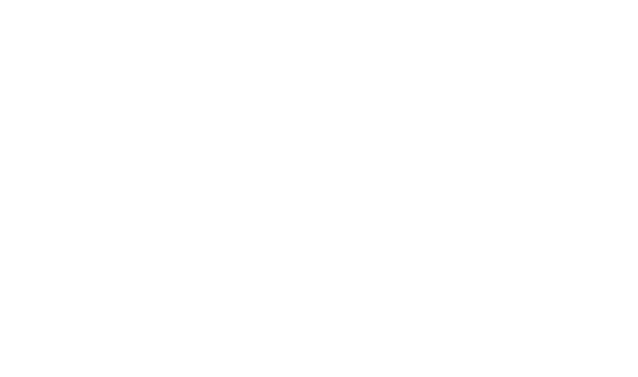 Logo Nosimages